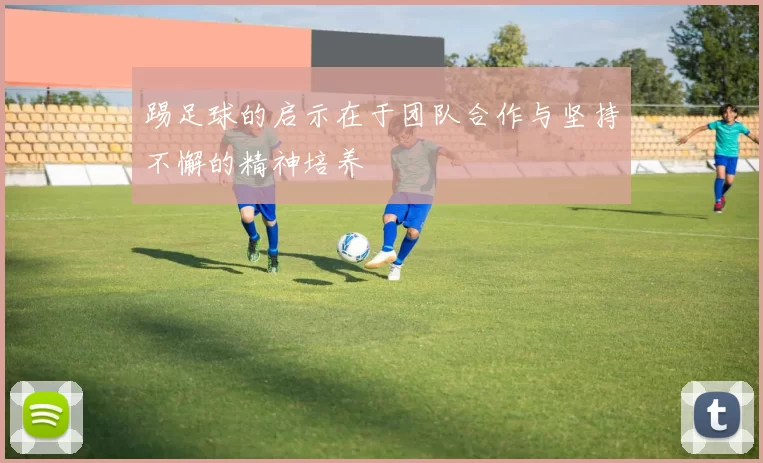 踢足球的启示在于团队合作与坚持不懈的精神培养