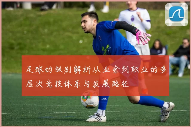 足球的级别解析从业余到职业的多层次竞技体系与发展路径