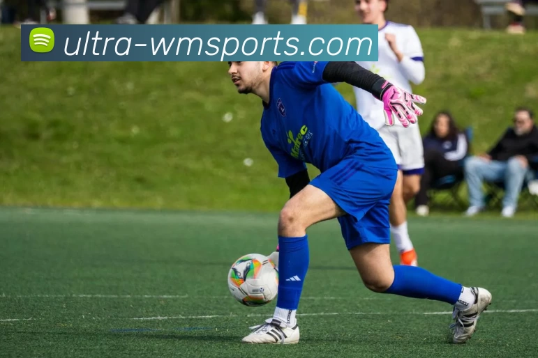 完美体育品牌故事